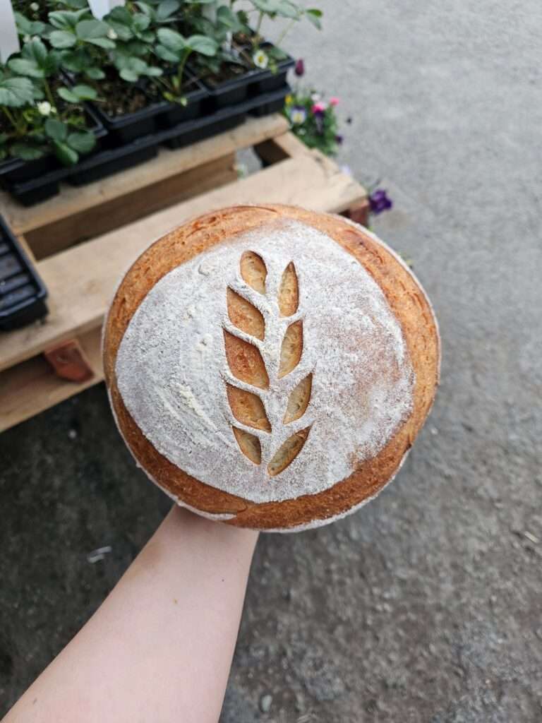 wheat stalk score on sourdough bread