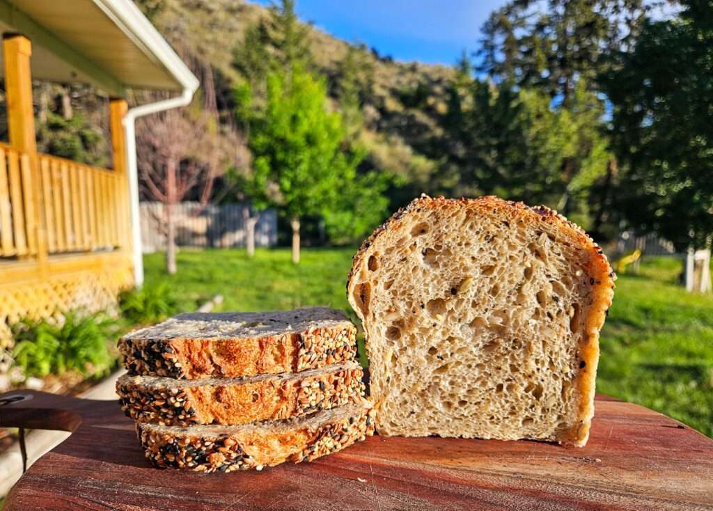 seedy sourdough bread
