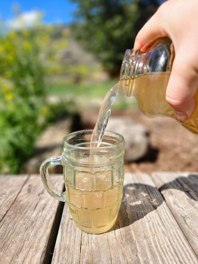 Cranberry Apple Water Kefir