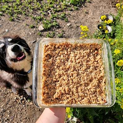 Easy Apple and Rhubarb Whole-Grain Crumble Bars