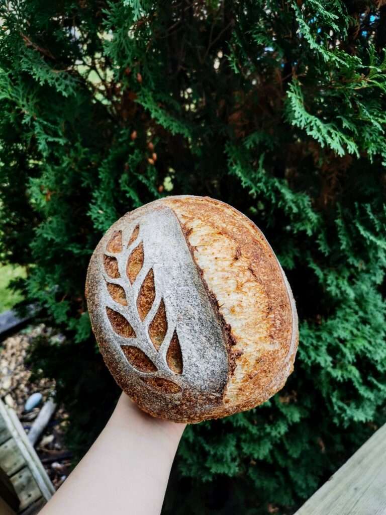 wheat stalk score on sourdough bread