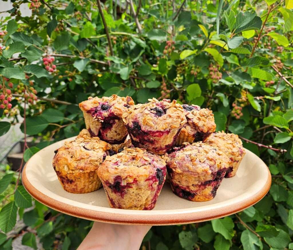 haskap and granola muffins