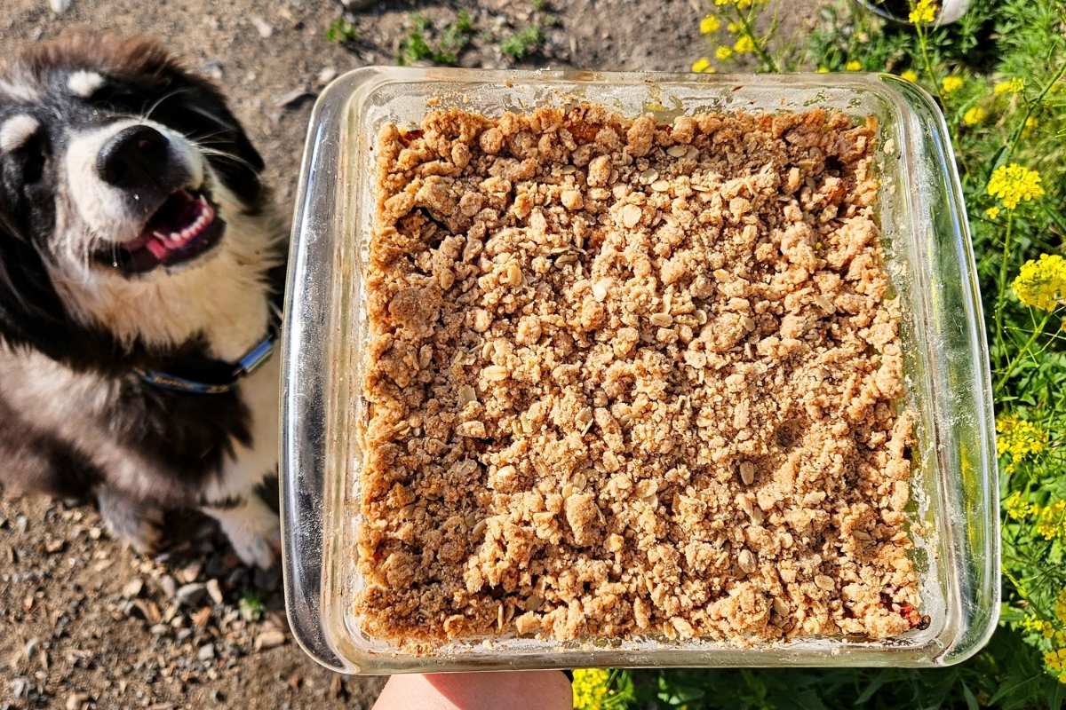 crumble bars
