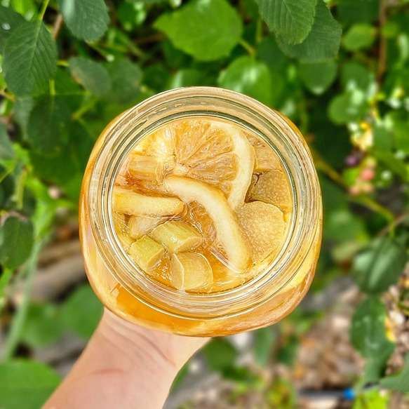 Rhubarb and Lemon Water Kefir