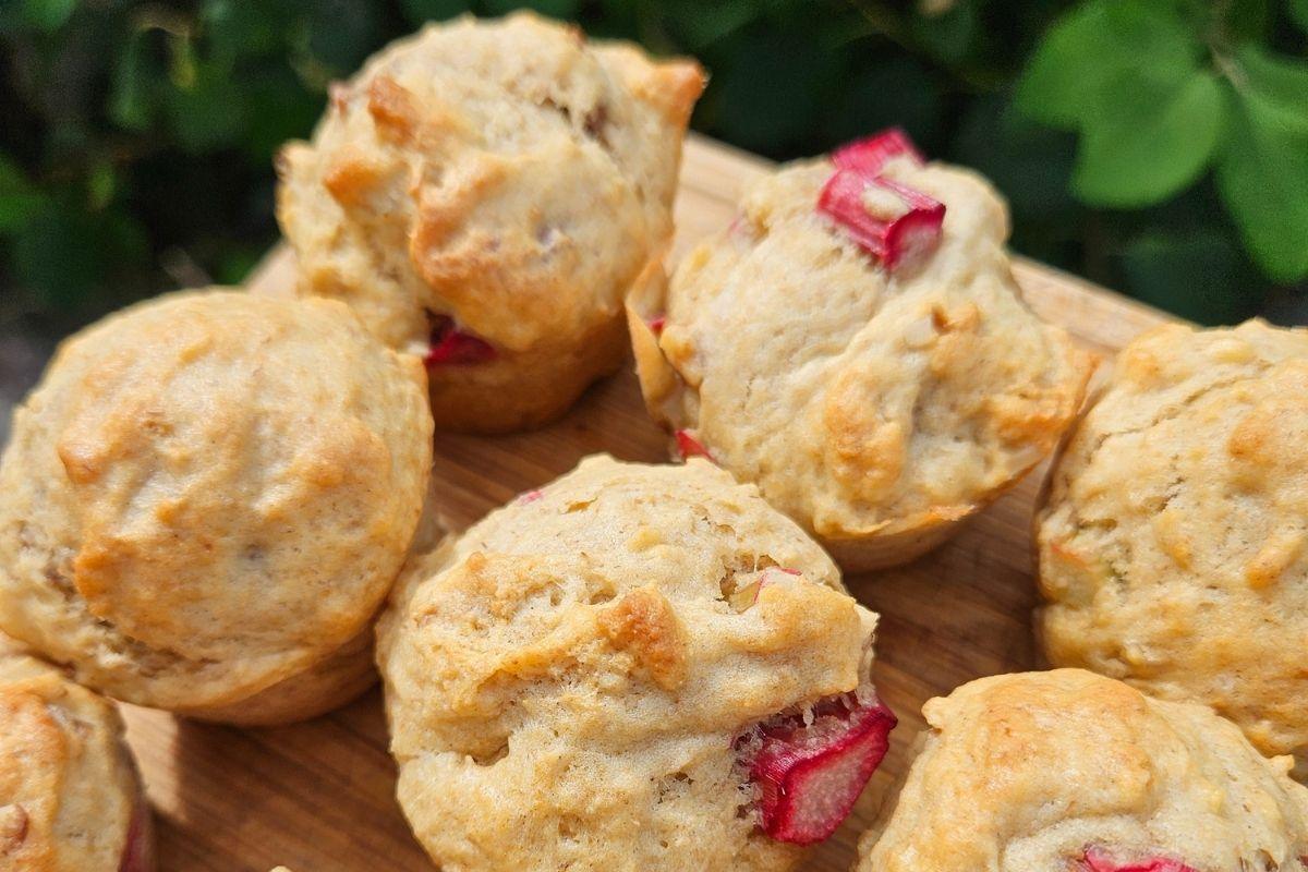 sourdough rhubarb walnut muffin