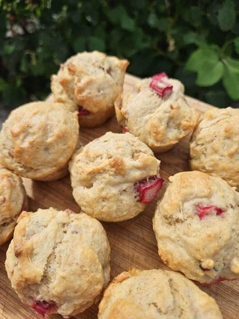 Simple Sourdough Rhubarb Walnut Muffins