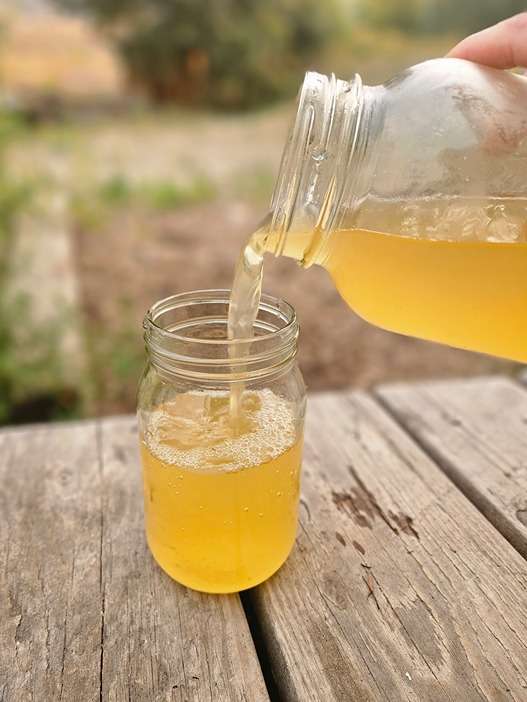 Juniper Berry and Lemon Water Kefir