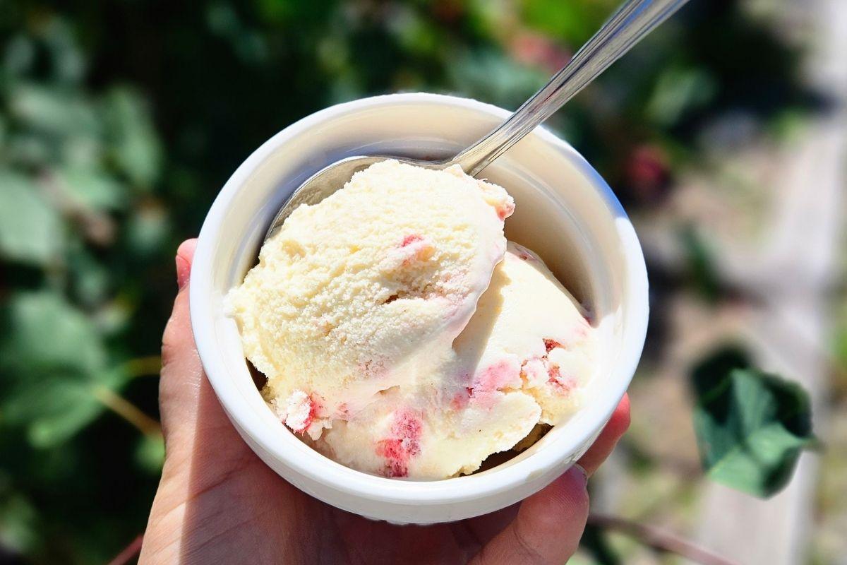 rhubarb honey ice cream