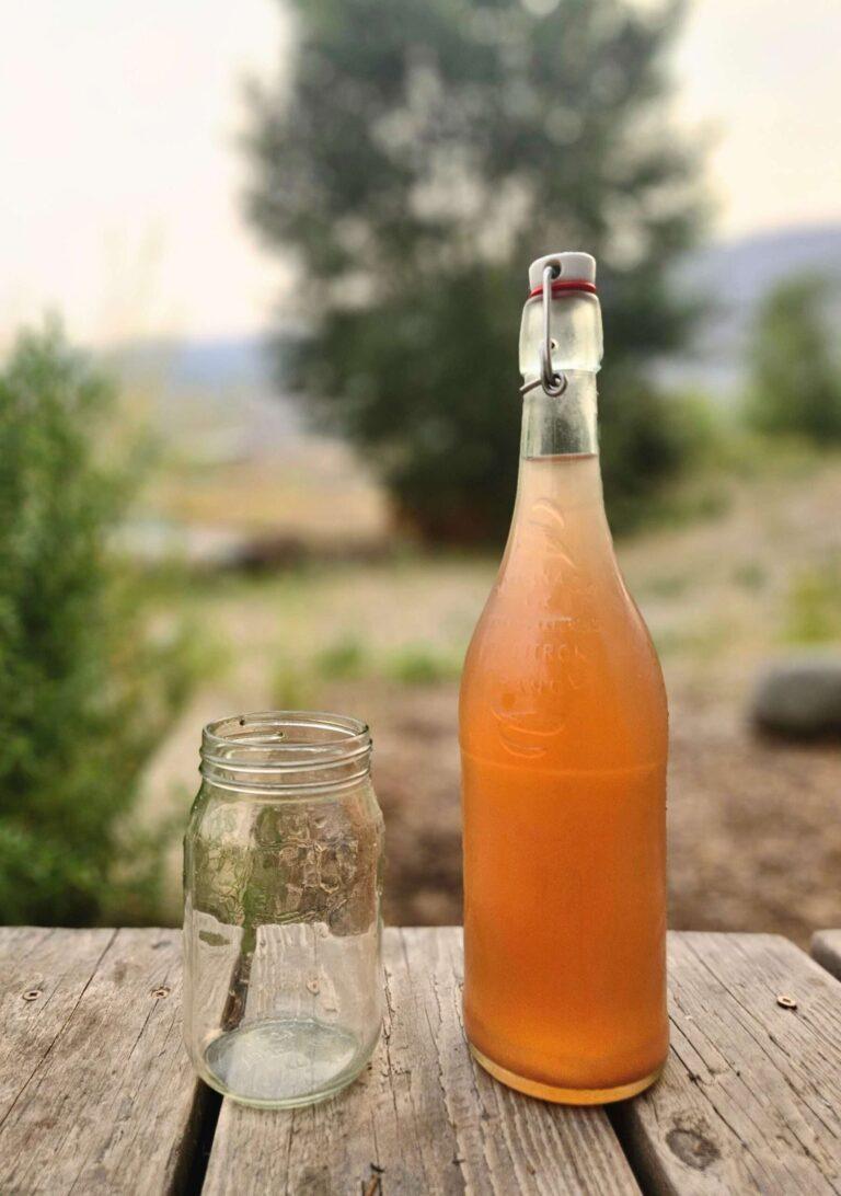 Blueberry Mint Water Kefir
