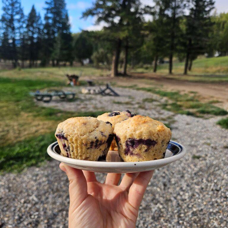 Quick and Easy Einkorn Lemon Blueberry Muffins