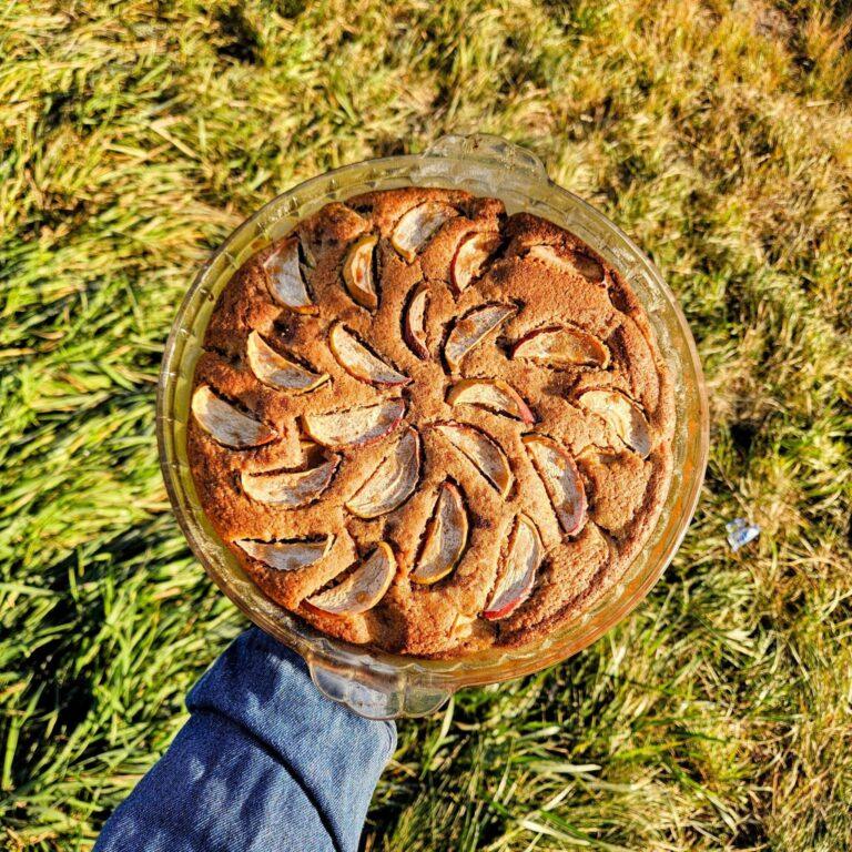 The Best Spiced Apple Sourdough Cake