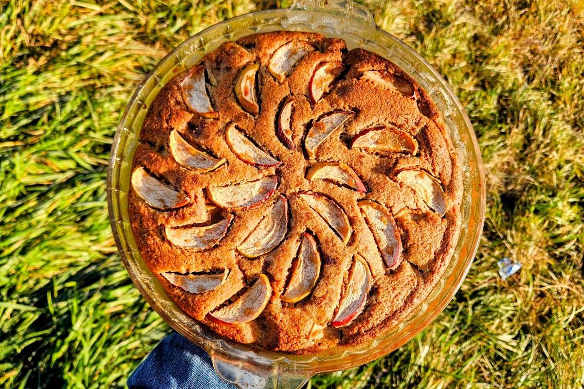 spiced apple sourdough cake
