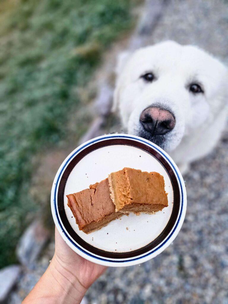 Simple Pumpkin Pie Bars with Whole Wheat Crust