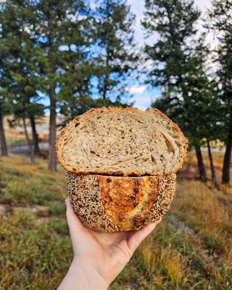 The Best Seedy Sourdough Bread