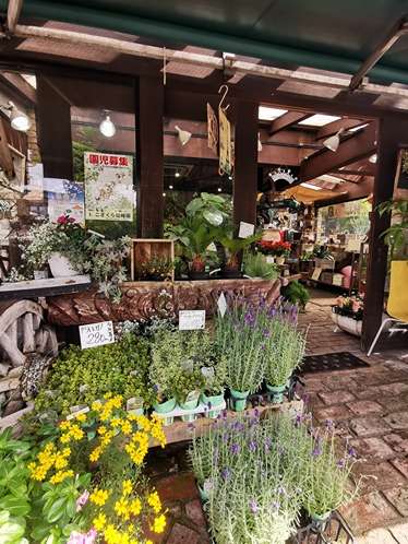 herbs and florals