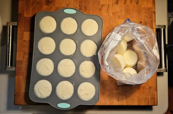 yogurt starter cultures