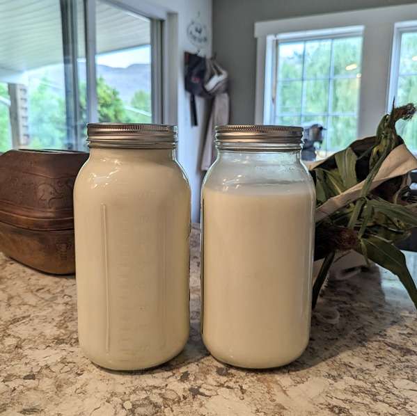 raw milk