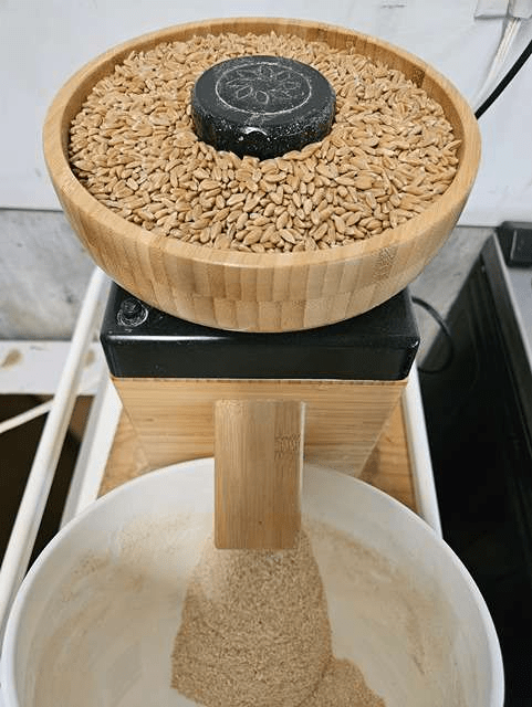 nutrimill milling grain