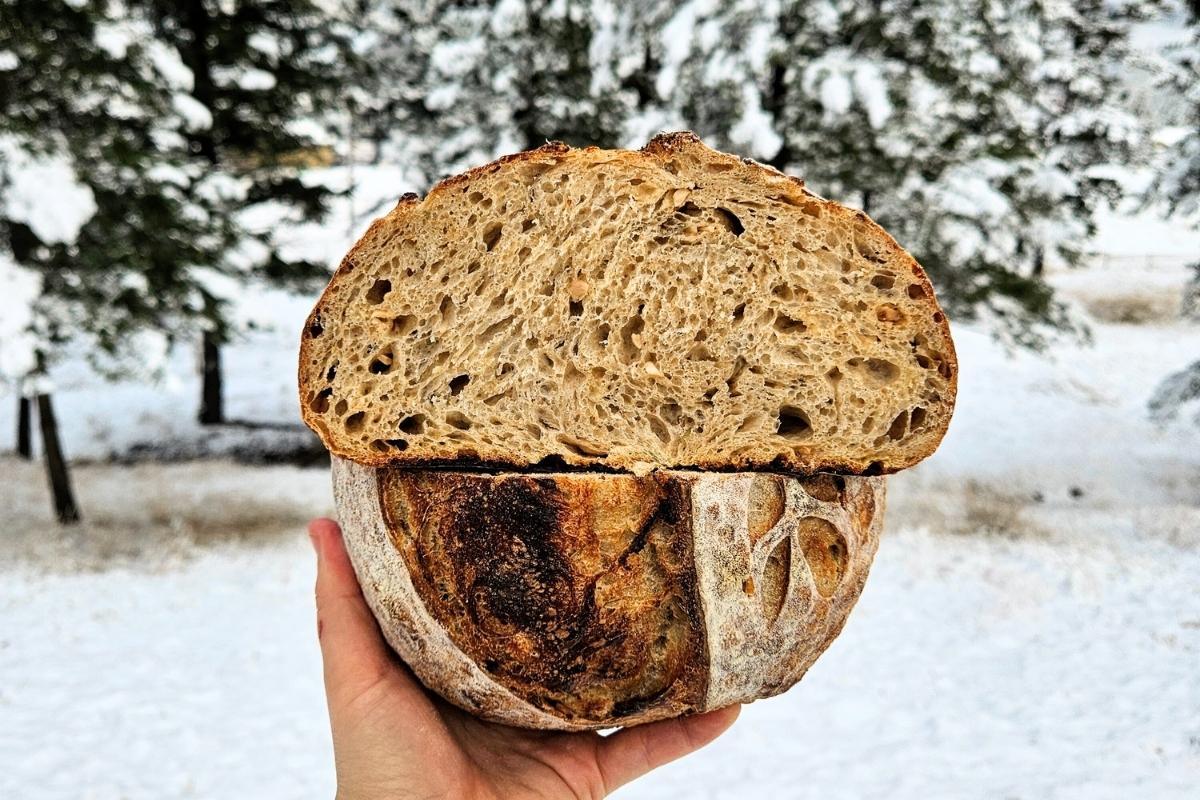 rosemary garlic sourdough bread