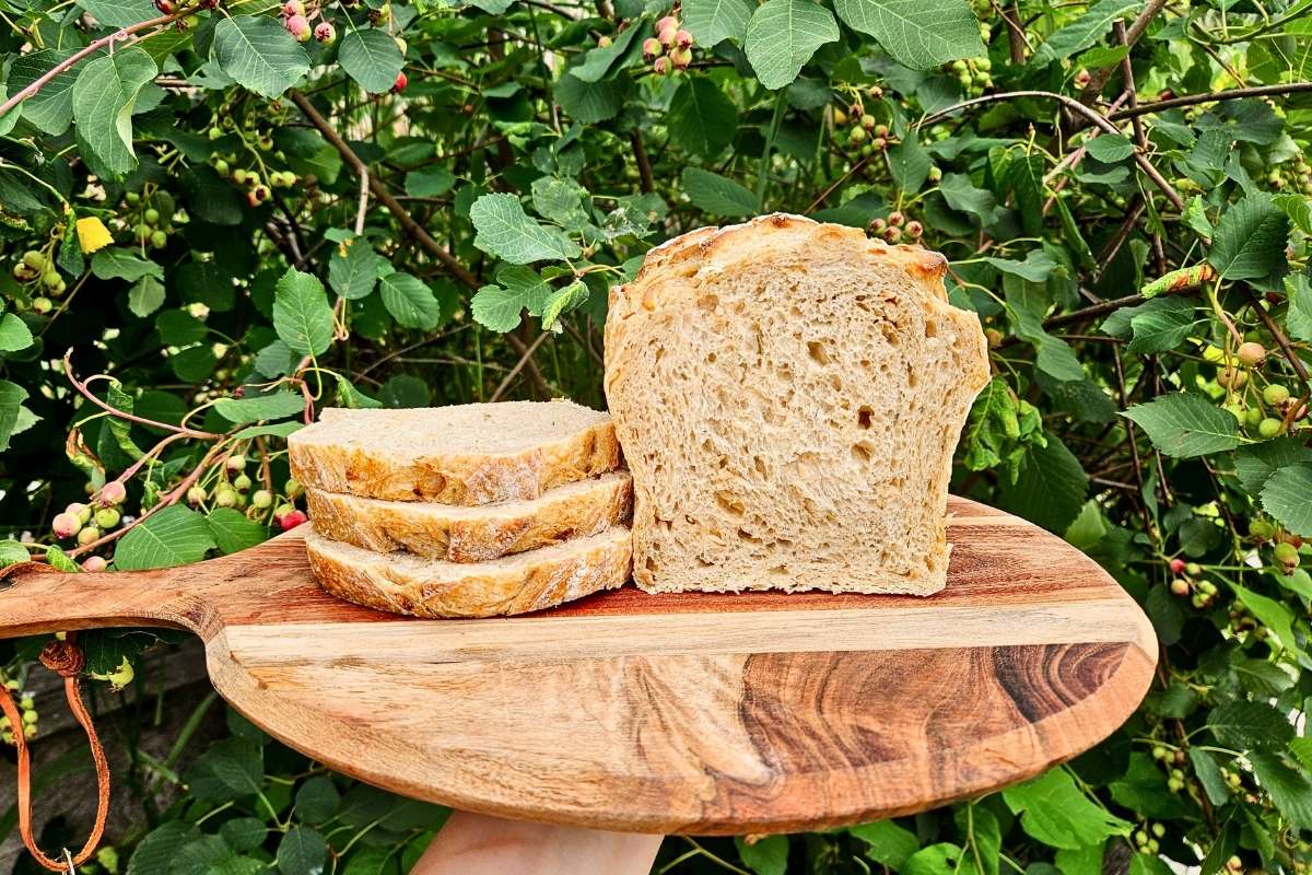 rosemary garlic sourdough sandwich bread