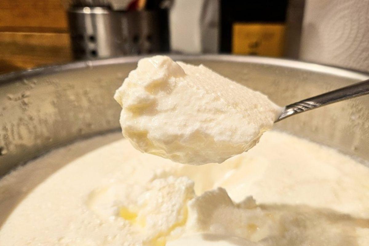 homemade yogurt