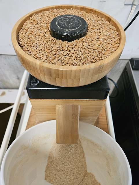 milling grain