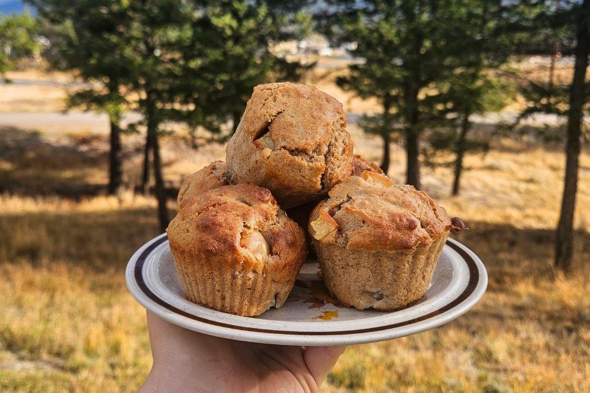 apple cinnamon sourdough muffins