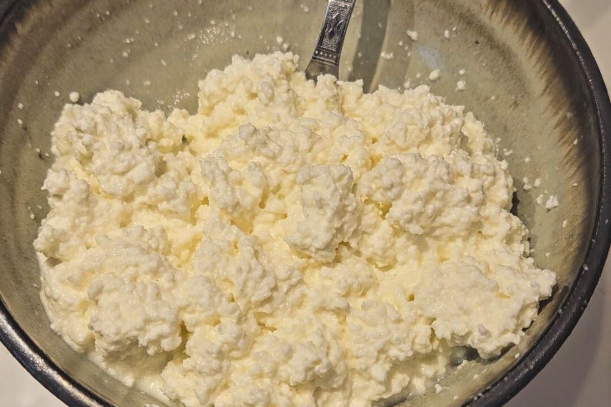 homemade ricotta