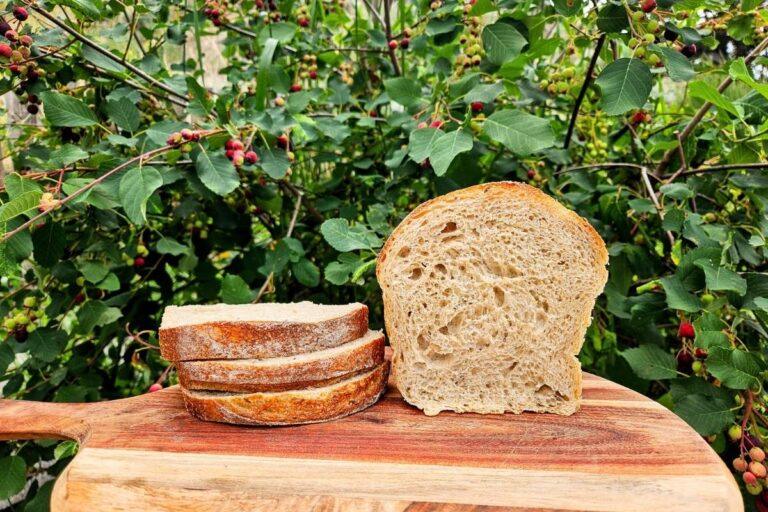 Easy Light Rye and Caraway Sourdough Sandwich Bread
