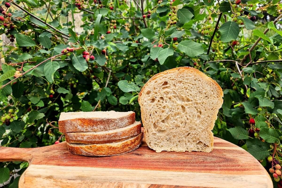 light rye and caraway sourdough sandwich bread