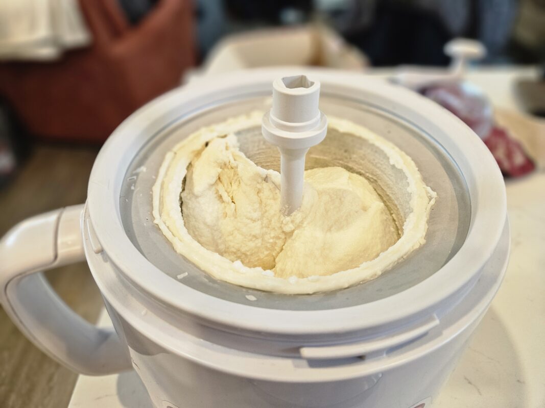 vanilla bean frozen yogurt