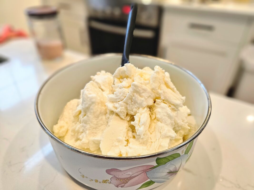 scooped vanilla bean frozen yogurt