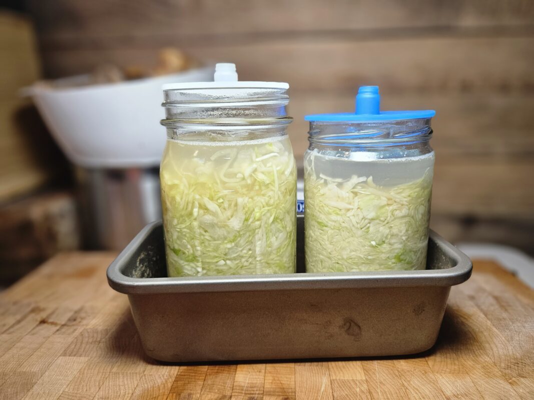 packed jar of sauerkraut