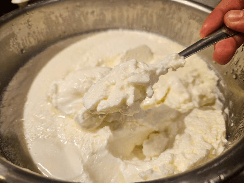 homemade yogurt