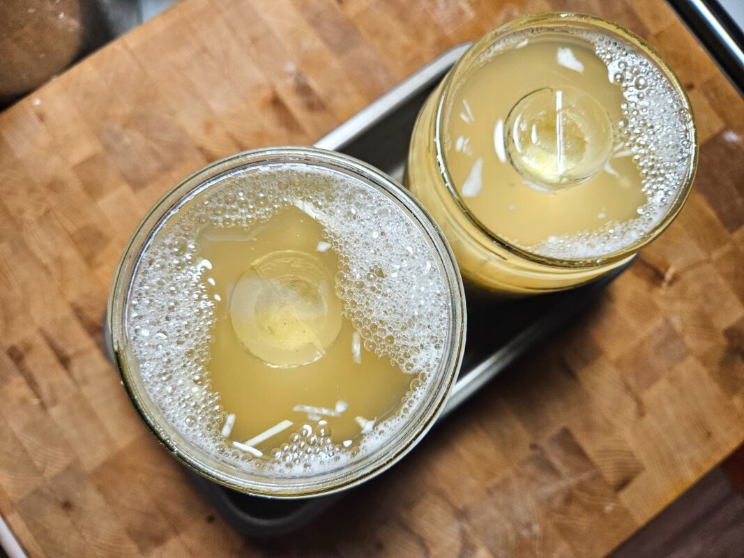 bubbly fermenting cabbage