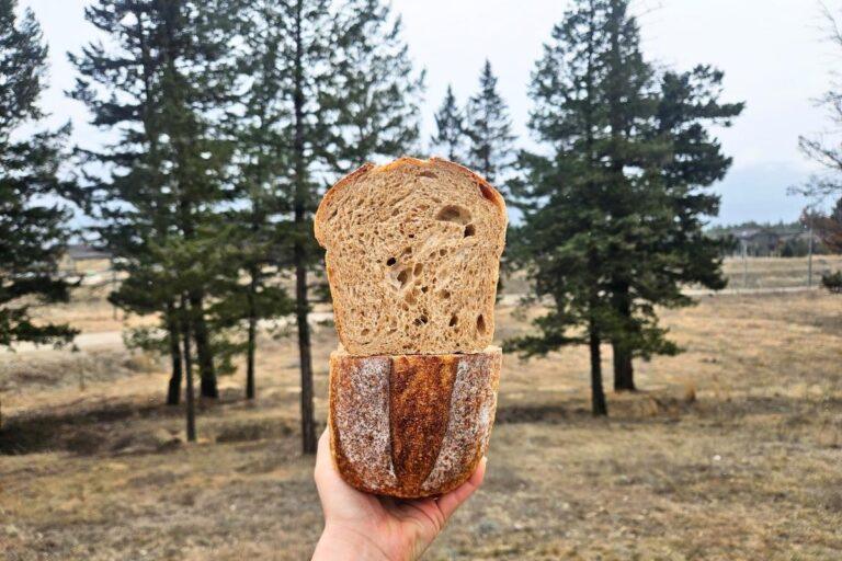honey wheat