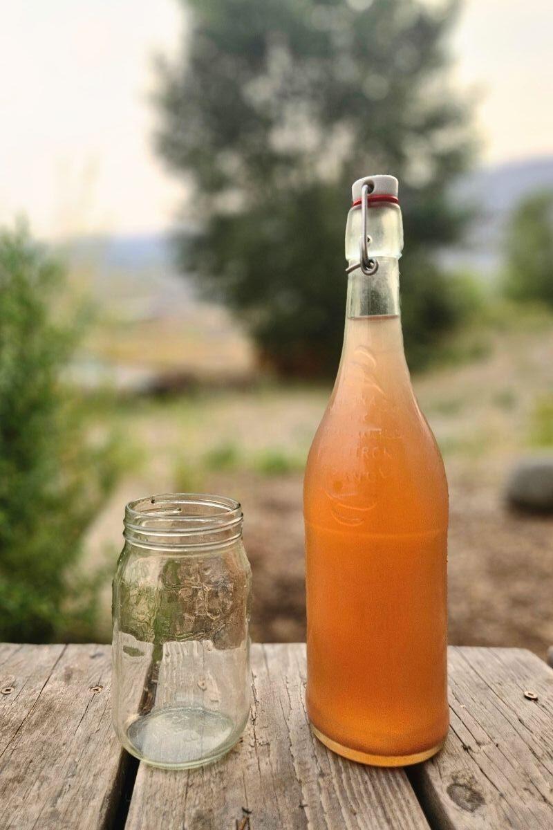 blueberry mint water kefir