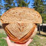 whole wheat sourdough bread