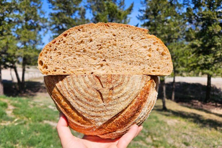 whole wheat sourdough bread