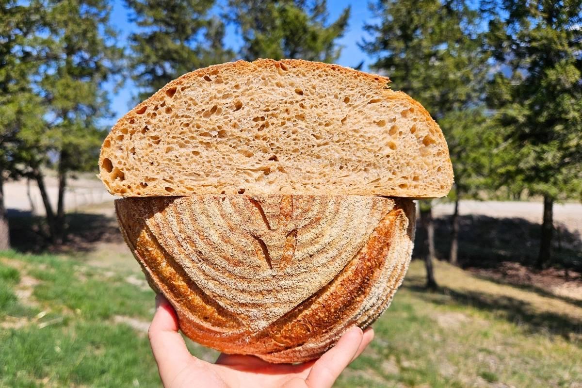 whole wheat sourdough bread